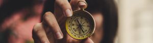 InsightsNow Aspirational Compass